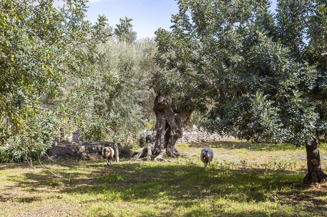 Villa Finca Barons Bunyola Spagna