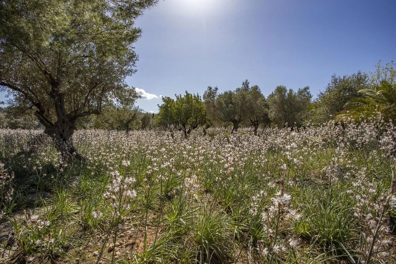 Villa Finca Barons Bunyola
